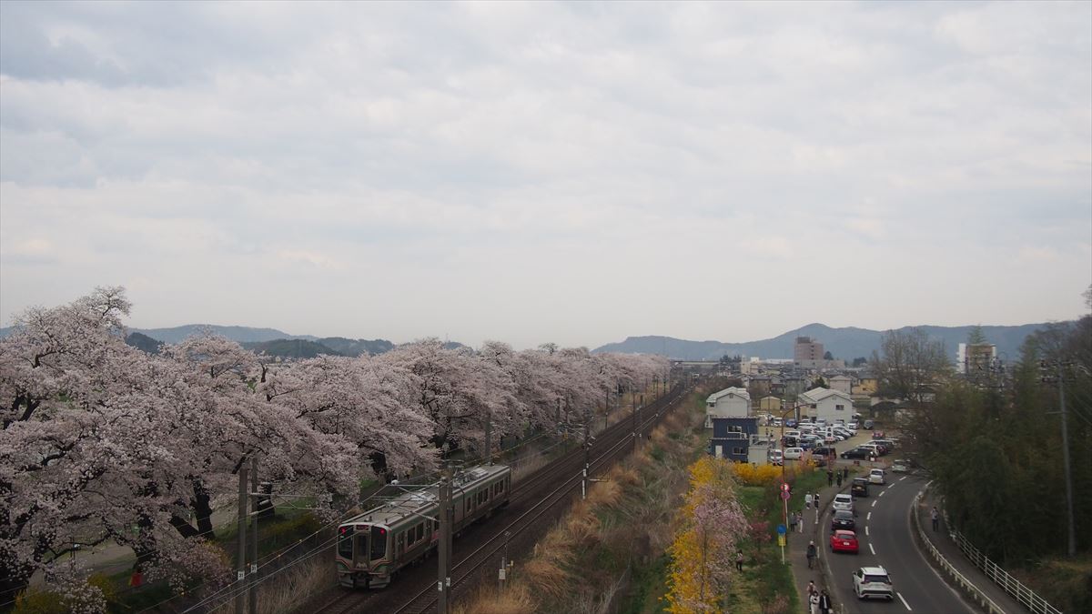 千本桜と東北本線