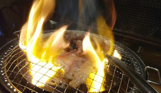 一人で焼肉食べ放題楽しんでたら脂身多くて肉に火がついてしまう