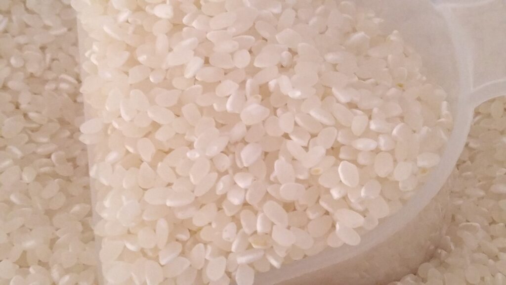 粒の大きさが揃った米