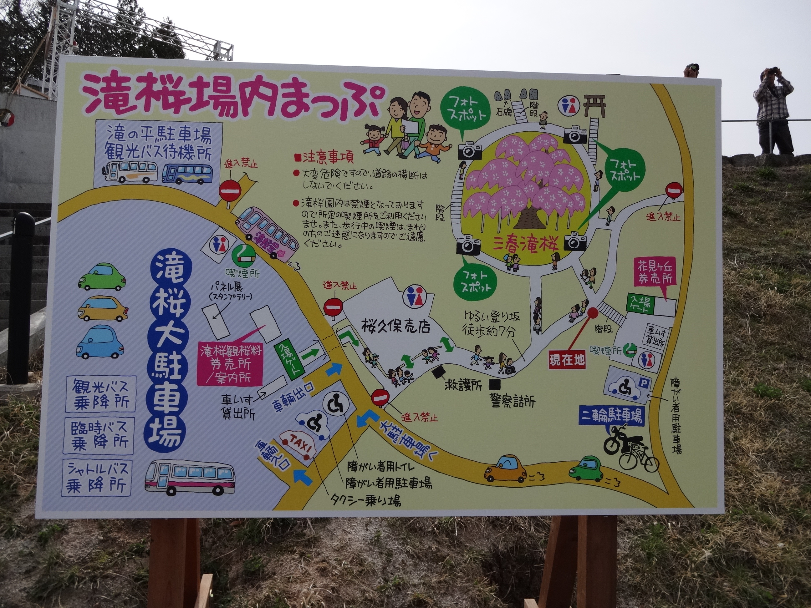 滝桜場内マップ